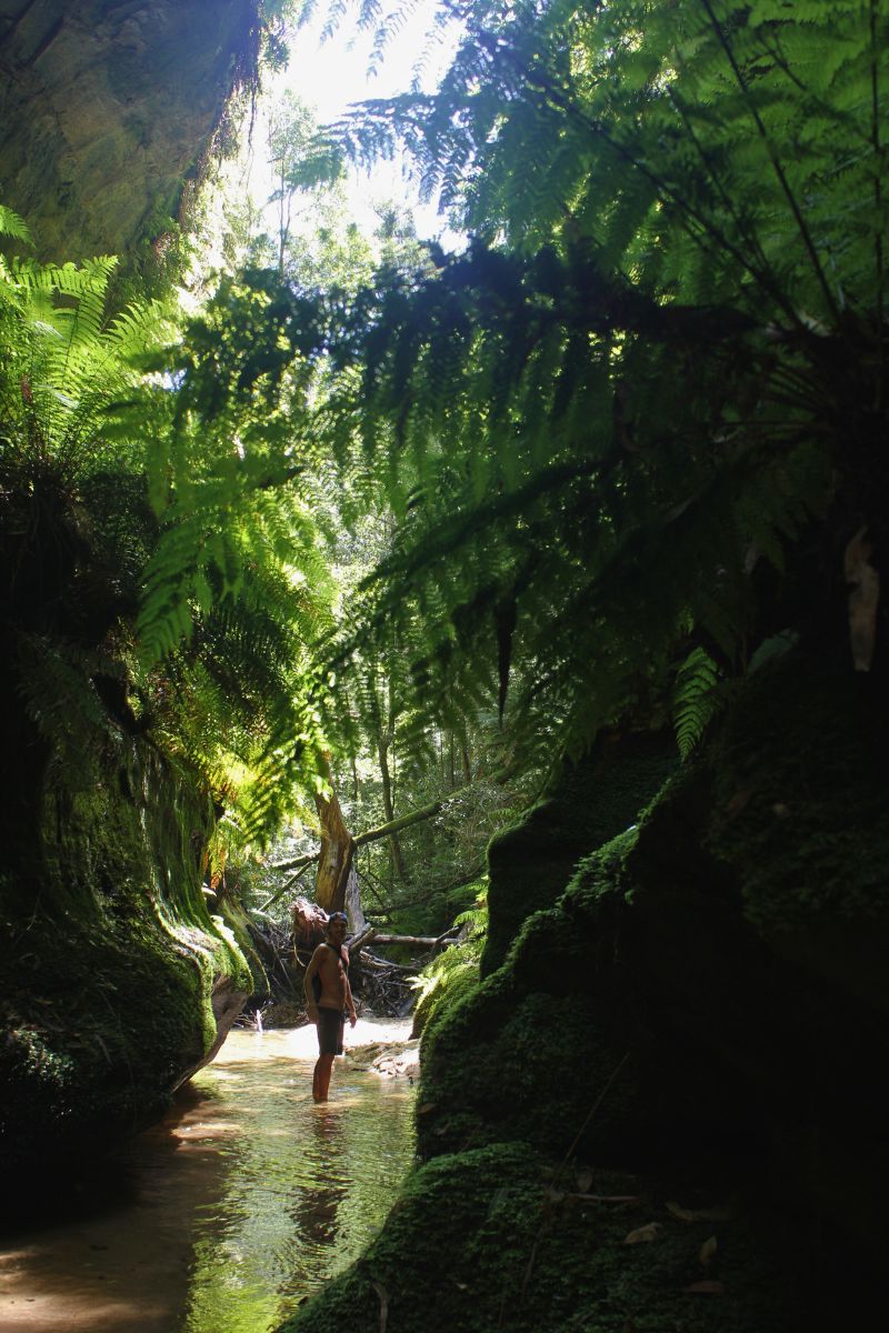 Blue mountains sydney (2)