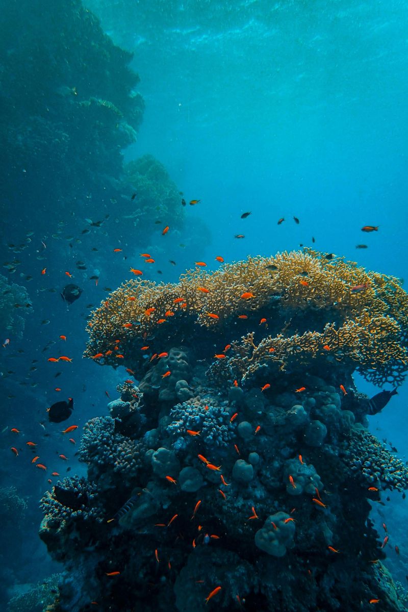 great barrier reef encampervan